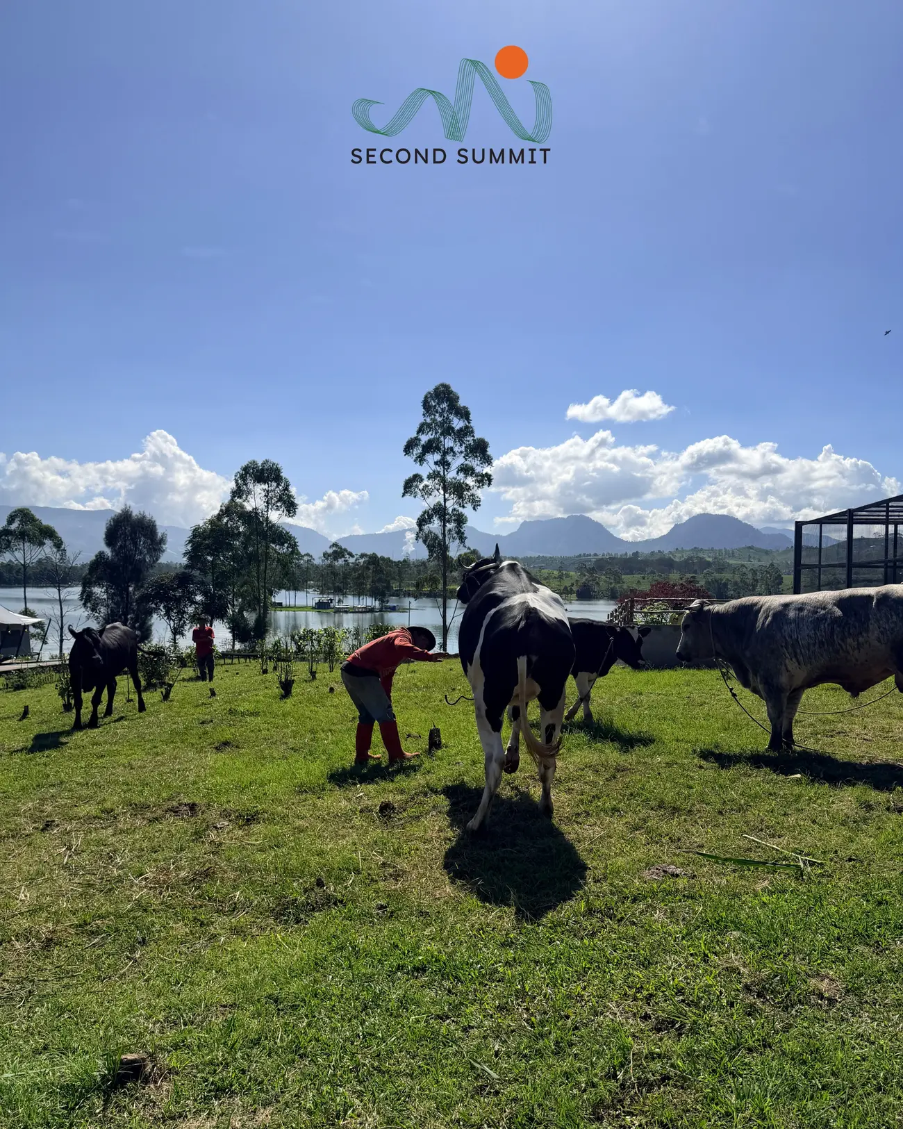 Farm life on the grounds by the lake